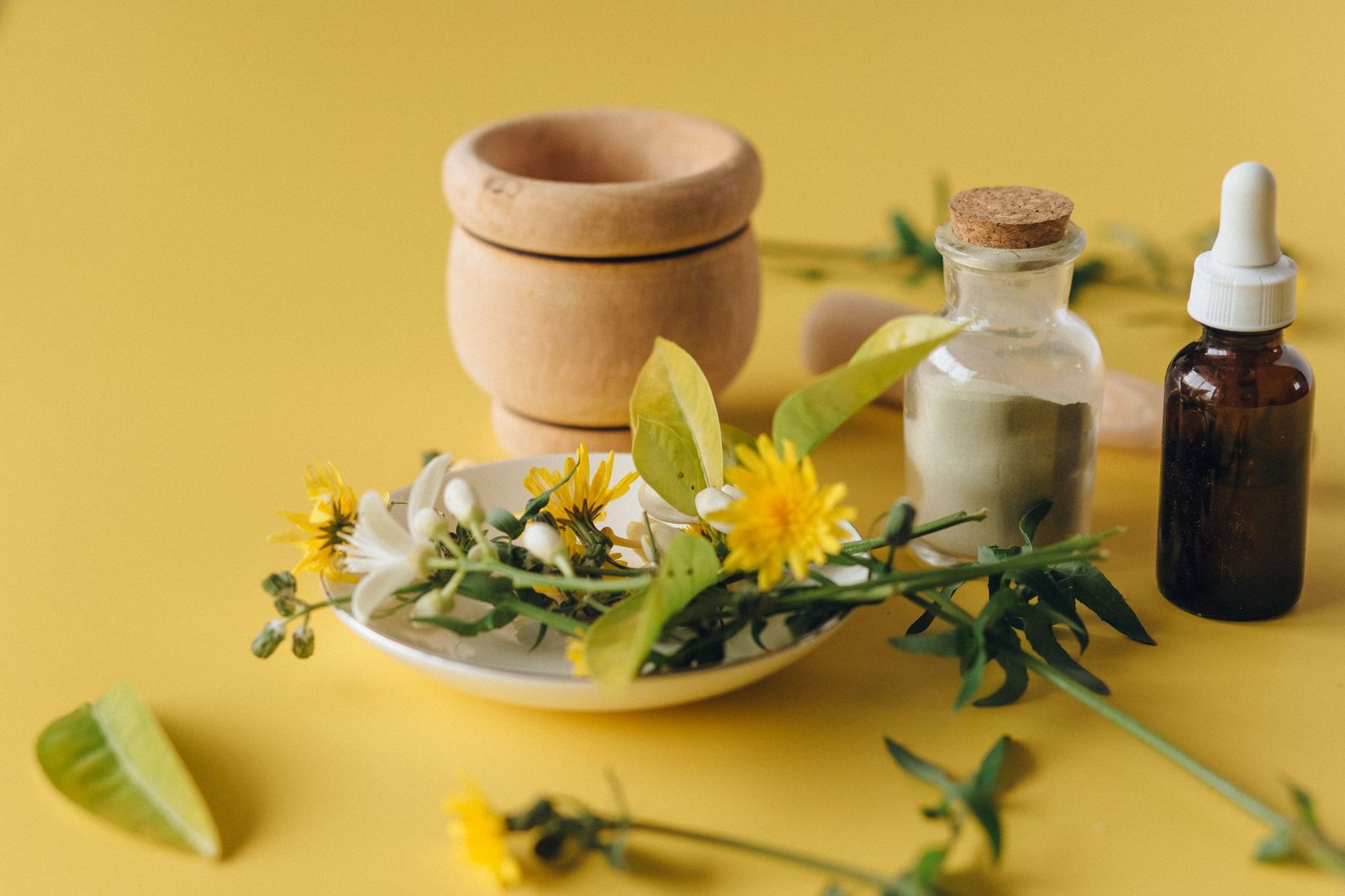 Nux vomica : guide des bienfaits et usages